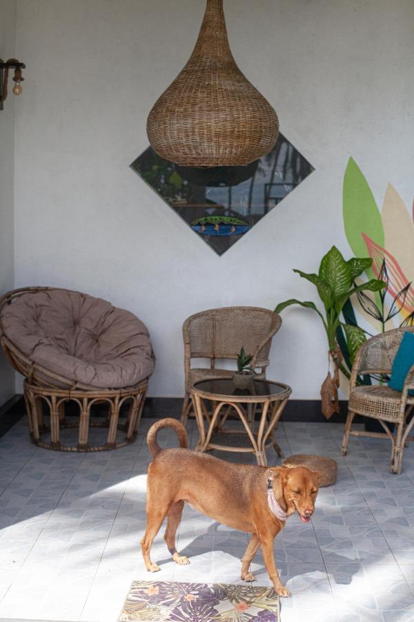 Marshmallow Homestay Ahangama Kültér fotó